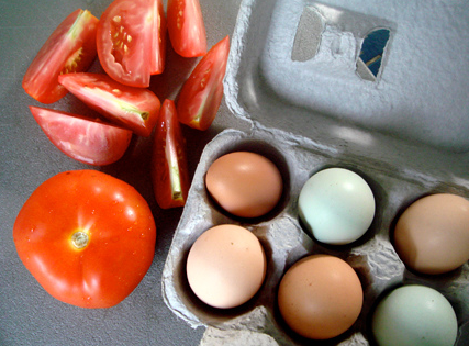 Eggs and Tomatoes